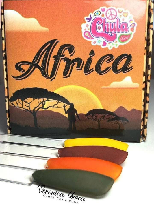 COLECCION DE ACRILICOS AFRICA  4 PZAS (7 GR)